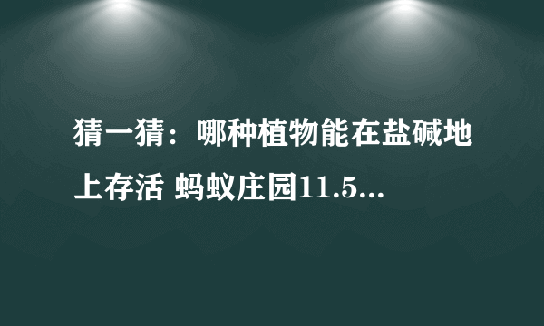 猜一猜：哪种植物能在盐碱地上存活 蚂蚁庄园11.5答案早知道