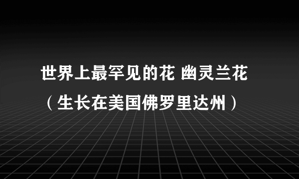 世界上最罕见的花 幽灵兰花（生长在美国佛罗里达州）