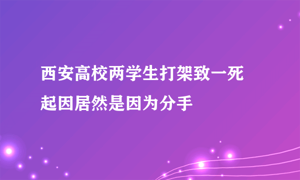 西安高校两学生打架致一死 起因居然是因为分手