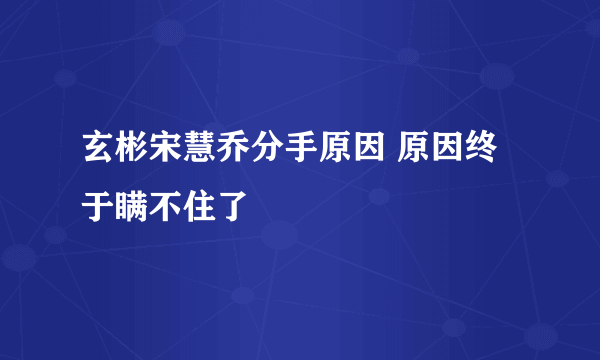 玄彬宋慧乔分手原因 原因终于瞒不住了