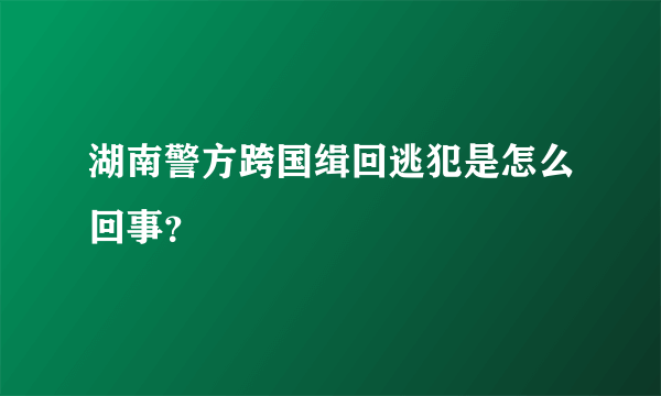 湖南警方跨国缉回逃犯是怎么回事？