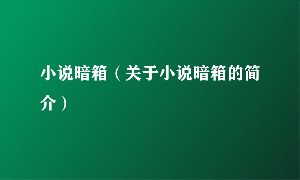 小说暗箱（关于小说暗箱的简介）