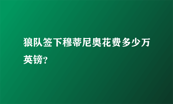 狼队签下穆蒂尼奥花费多少万英镑？