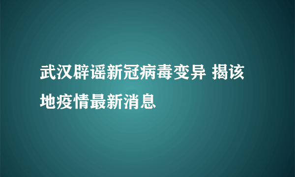 武汉辟谣新冠病毒变异 揭该地疫情最新消息