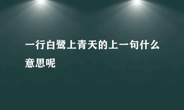 一行白鹭上青天的上一句什么意思呢