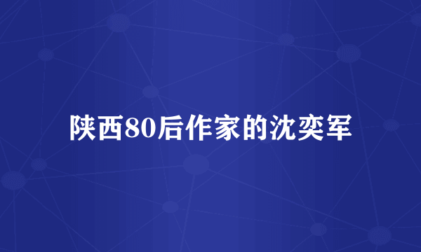 陕西80后作家的沈奕军