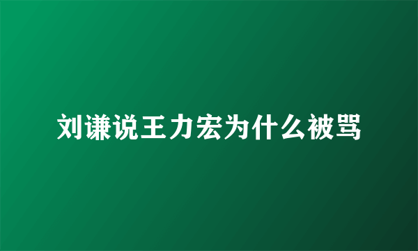 刘谦说王力宏为什么被骂