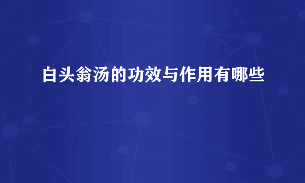 白头翁汤的功效与作用有哪些