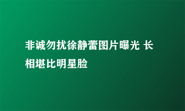 非诚勿扰徐静蕾图片曝光 长相堪比明星脸