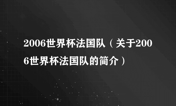 2006世界杯法国队（关于2006世界杯法国队的简介）