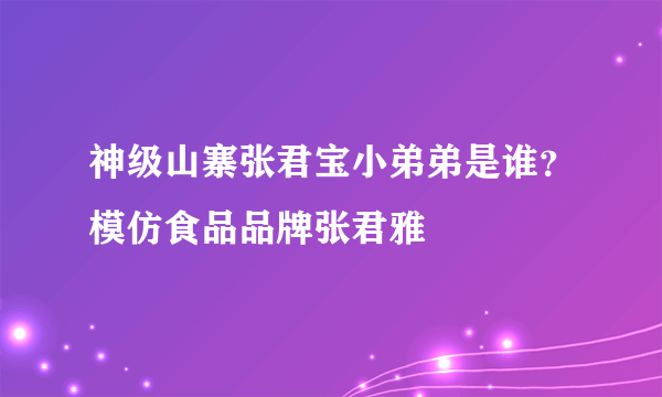 神级山寨张君宝小弟弟是谁？模仿食品品牌张君雅