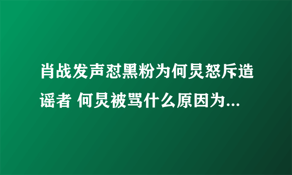 肖战发声怼黑粉为何炅怒斥造谣者 何炅被骂什么原因为何帮肖战