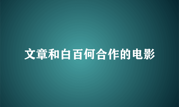 文章和白百何合作的电影