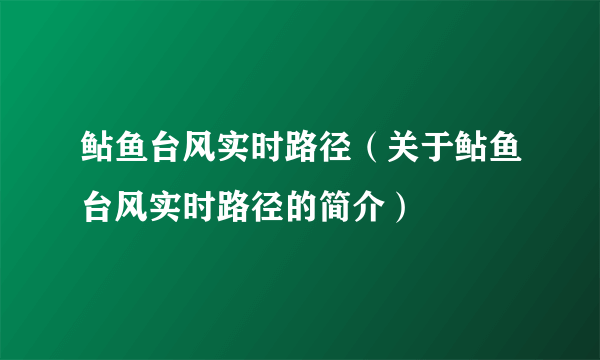 鲇鱼台风实时路径（关于鲇鱼台风实时路径的简介）