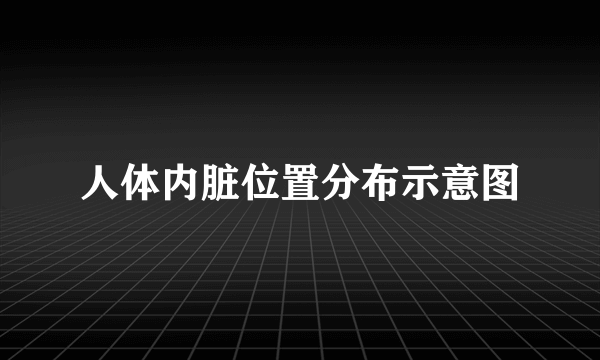 人体内脏位置分布示意图