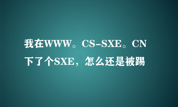 我在WWW。CS-SXE。CN下了个SXE，怎么还是被踢