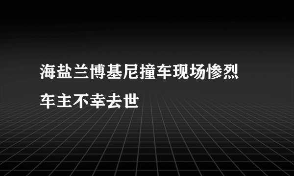 海盐兰博基尼撞车现场惨烈 车主不幸去世