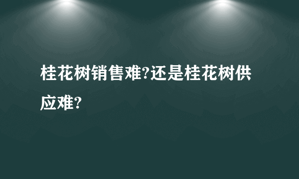 桂花树销售难?还是桂花树供应难?