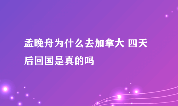 孟晚舟为什么去加拿大 四天后回国是真的吗