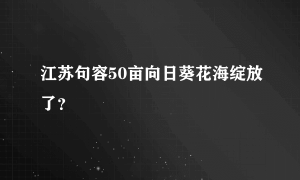 江苏句容50亩向日葵花海绽放了？