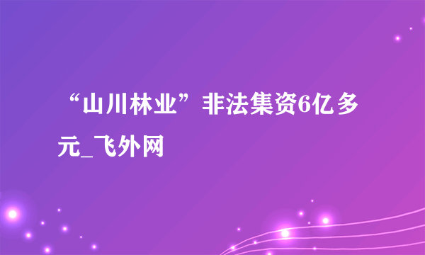 “山川林业”非法集资6亿多元_飞外网