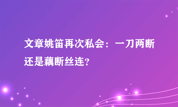 文章姚笛再次私会：一刀两断还是藕断丝连？