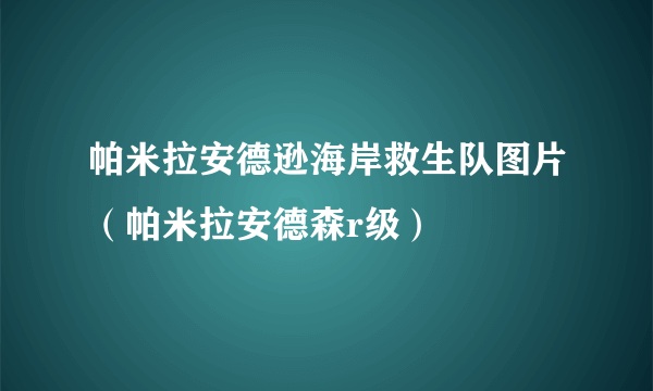 帕米拉安德逊海岸救生队图片（帕米拉安德森r级）