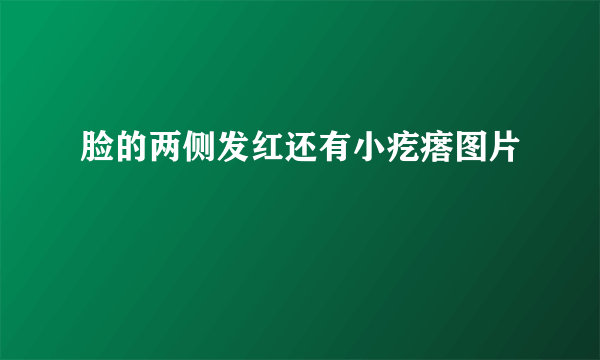 脸的两侧发红还有小疙瘩图片