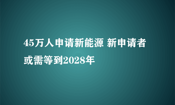 45万人申请新能源 新申请者或需等到2028年