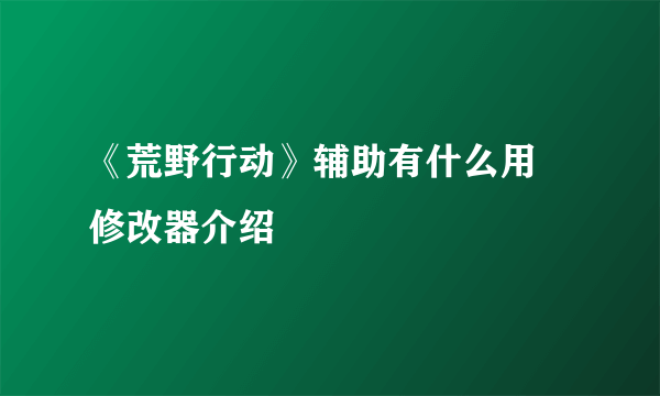 《荒野行动》辅助有什么用 修改器介绍