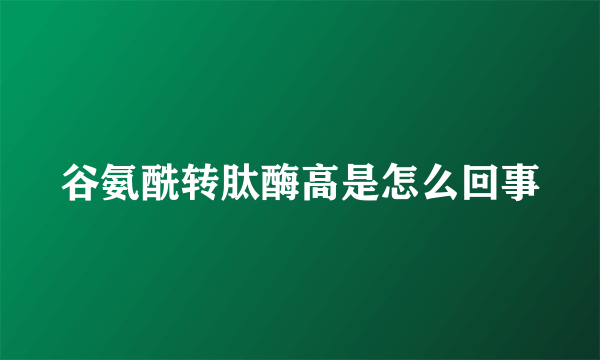 谷氨酰转肽酶高是怎么回事