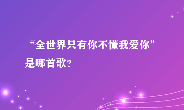 “全世界只有你不懂我爱你”是哪首歌？