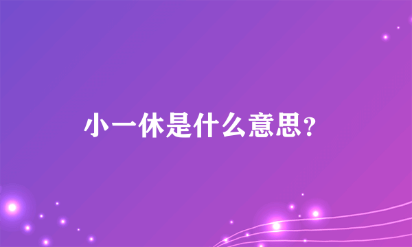 小一休是什么意思？