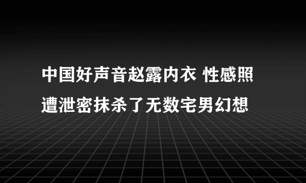 中国好声音赵露内衣 性感照遭泄密抹杀了无数宅男幻想