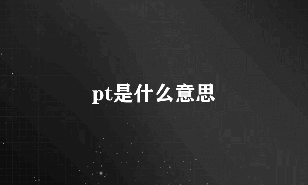 pt是什么意思