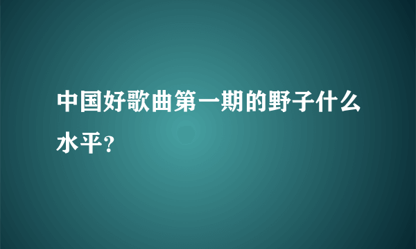 中国好歌曲第一期的野子什么水平？