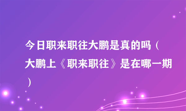 今日职来职往大鹏是真的吗（大鹏上《职来职往》是在哪一期）