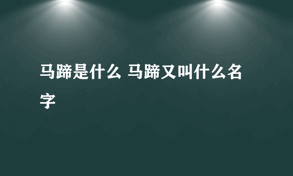 马蹄是什么 马蹄又叫什么名字