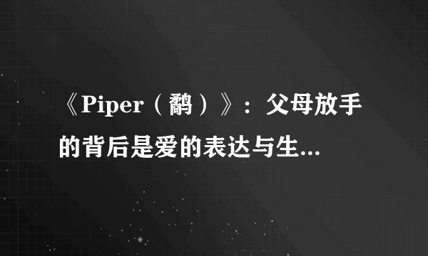 《Piper（鹬）》：父母放手的背后是爱的表达与生命的延续