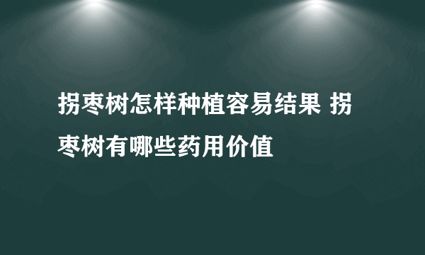 拐枣树怎样种植容易结果 拐枣树有哪些药用价值