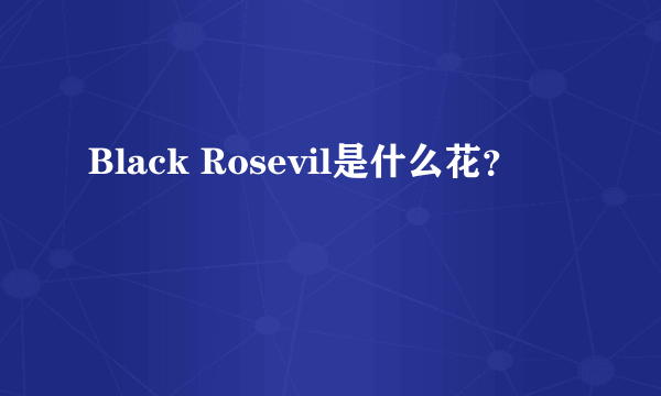 Black Rosevil是什么花？