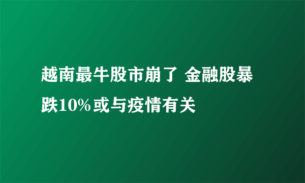 越南最牛股市崩了 金融股暴跌10%或与疫情有关