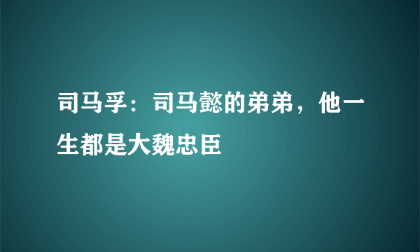 司马孚：司马懿的弟弟，他一生都是大魏忠臣