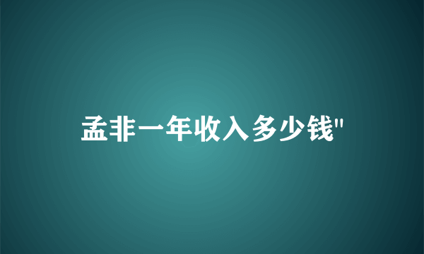 孟非一年收入多少钱