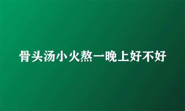 骨头汤小火熬一晚上好不好