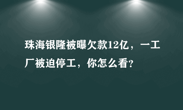 珠海银隆被曝欠款12亿，一工厂被迫停工，你怎么看？