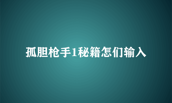 孤胆枪手1秘籍怎们输入