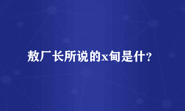 敖厂长所说的x甸是什？