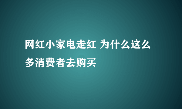 网红小家电走红 为什么这么多消费者去购买