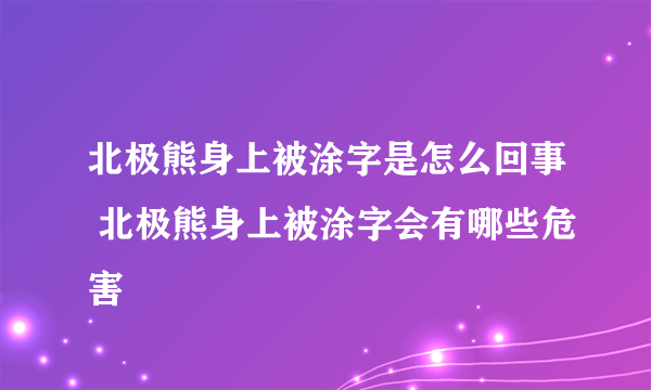 北极熊身上被涂字是怎么回事 北极熊身上被涂字会有哪些危害